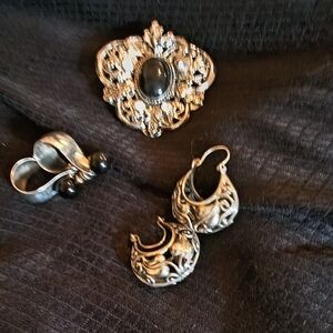 Beautiful Pin With Silver Earrings